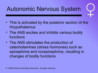 Autonomic Nervous System This is activated by the posterior section of the hhypothalamus The ANS excites and inhibits various bodily functions The ANS stimulates the production of catecholamines (stress hormones) such as epinephrine and norepinephrine, resulting in changes of bodily functions 