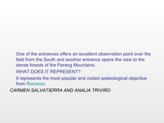 One of the entrances offers an excellent observation point over the field from the South and another entrance opens the view to the dense forests of the Parang Mountains. WHAT DOES IT REPRESENT? It represents the most popular and visited speleological objective from  Romania . CARMEN SALVATIERRA AND ANALIA TRIVIÑO 