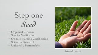 Step one
Seed
• Organic/Heirloom	

• Species Veriﬁcation	

• On-Site Planting Certiﬁcation	

• Scientiﬁc Research	

• University Partnerships
Lavender Seeds
 