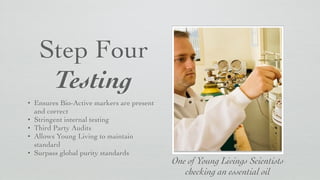 Step Four	

Testing
• Ensures Bio-Active markers are present
and correct	

• Stringent internal testing	

• Third Party Audits	

• Allows Young Living to maintain
standard	

• Surpass global purity standards
One of Young Livings Scientists 	

checking an essential oil
 