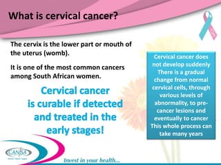 What is a Pap smear?
A pap smear is a procedure that is done
to detect early cell changes in the cervix
to help prevent ca...