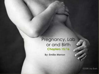 Pregnancy, Lab
  or and Birth
   Chapters 15/16
 By: Emilie Merron
 
