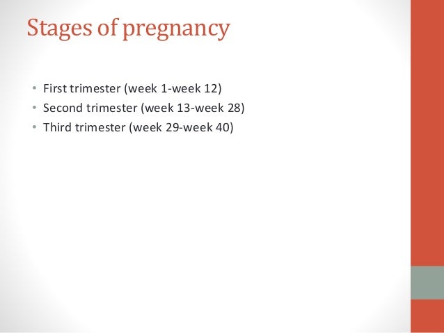 Exercises during pregnancy - (Antenatal Exercises) - Infofru