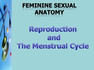 Feminine SEXUAL ANATOMY Reproduction  and  The Menstrual Cycle 