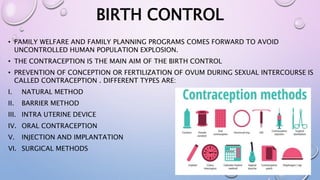 Women's health nations wealth | PPTX