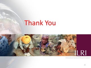 Women’s participation in the dairy value chain in Tanzania and Kenya