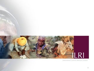 Women’s participation in the dairy value chain in Tanzania and Kenya