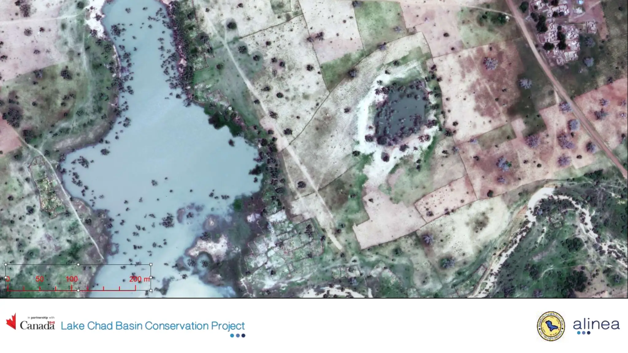 Women, wetlands, and conservation. Applying NbS in the Lake Chad Basin ...