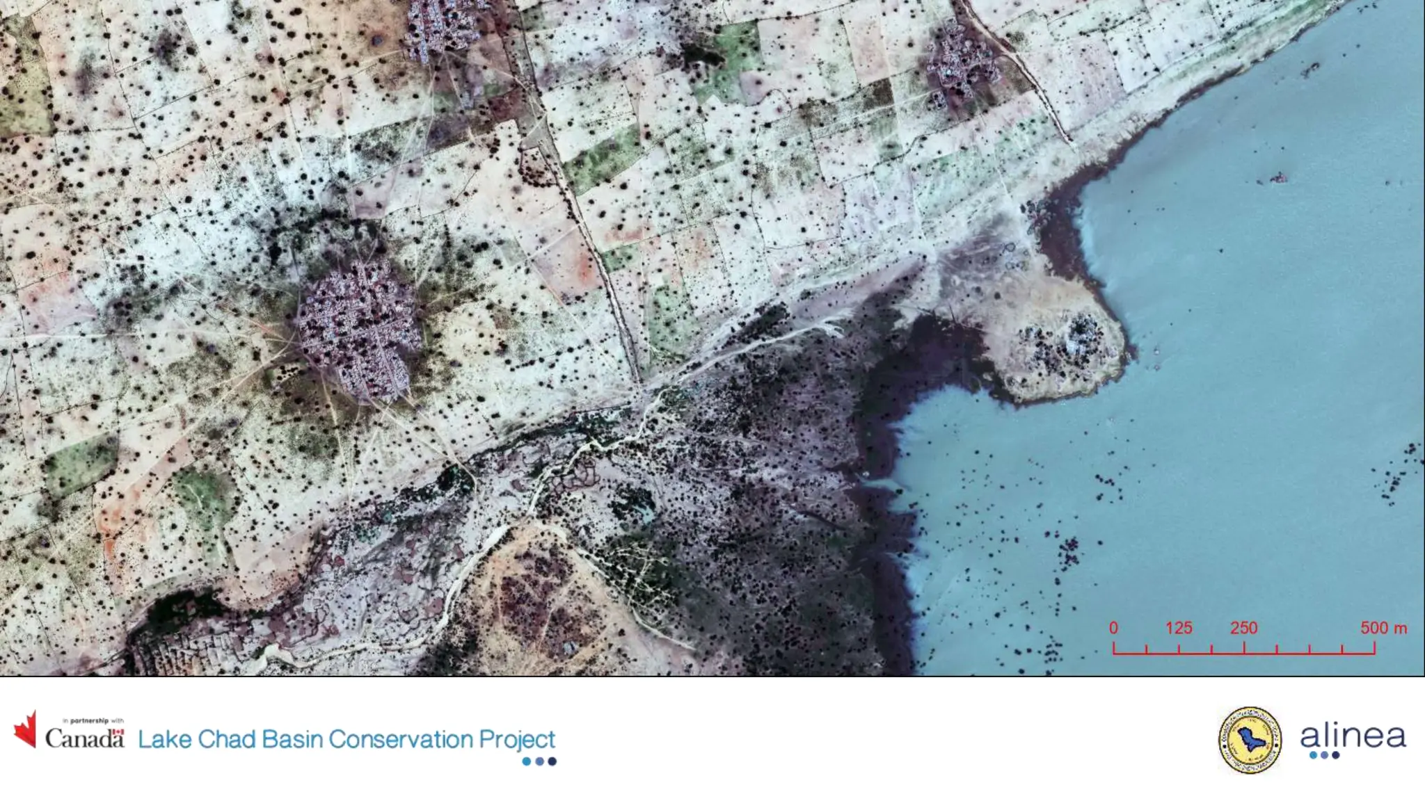 Women, wetlands, and conservation. Applying NbS in the Lake Chad Basin ...