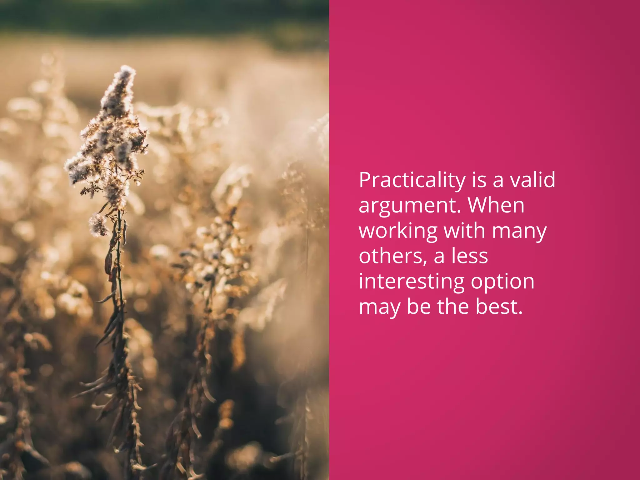 Practicality is a valid argument. When working with many others, a less interesting option may be the best. 