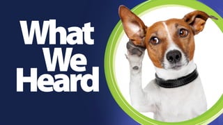 Digging 
Up 
People 
We always start with a dose of Empathy walking in the footsteps of the Stakeholders, the Residents, and the tourists. This where you find out the values, 
the goals the beliefs of those with a stake in what you’re trying to create. And those you’re trying to attract… what are the commonalities, the outliers. 
Where is the opportunity to do some match making? 
 