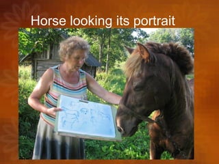 Horse looking its portrait 