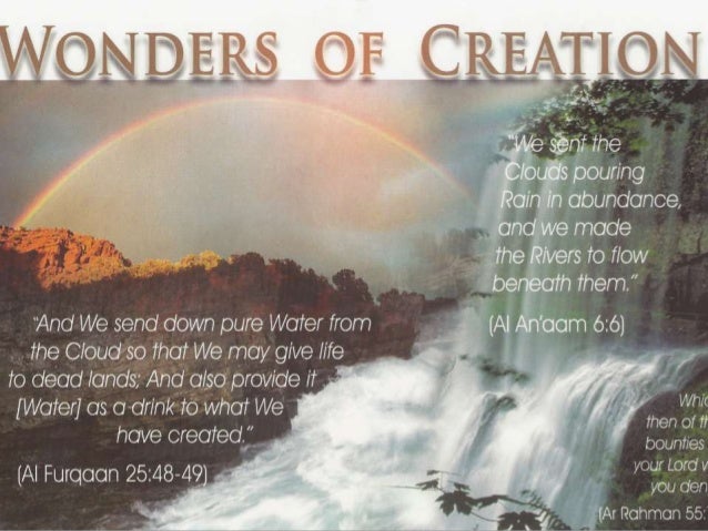 Wonders of creation