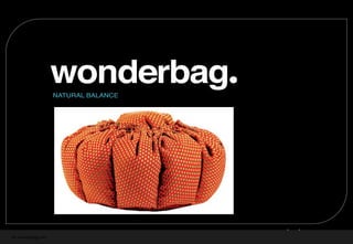 nb-wonderbag.com
An opportunity to invest
FEB 2012
INVESTMENT OPTIONS
 