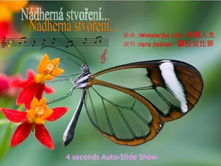 歌曲 :Wonderful Life 美麗人生
               演唱 :lara fabian 蘿拉安比菲




4 seconds Auto-Slide Show
 