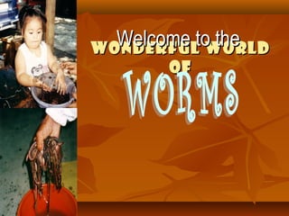 Wonderful WorldWonderful World
ofof
Welcome to theWelcome to the
 