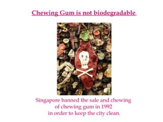 Chewing Gum is not biodegradable.
Singapore banned the sale and chewing
of chewing gum in 1992
in order to keep the city clean.
 