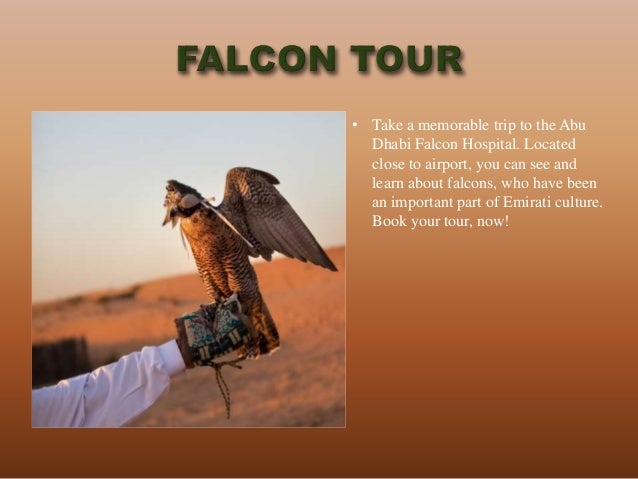 Wonderful Amp Adventurous Tours In Abu Dhabi