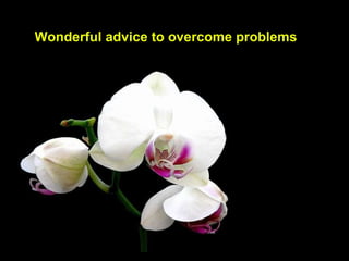Wonderful advice to overcome problems 