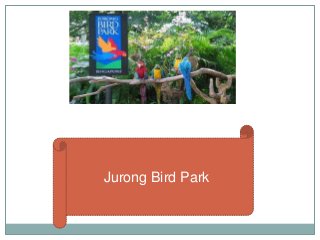 Jurong Bird Park
 