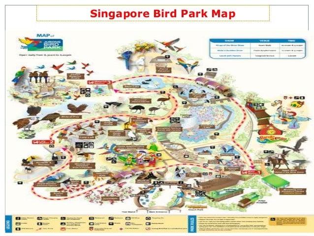 Wonderful African Waterfall Aviary In Singapore Bird Park