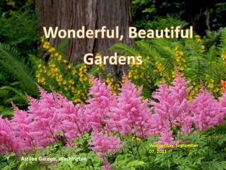 Wonderful, Beautiful Gardens Monday, March 08, 2010 Astilbe Garden, Washington 