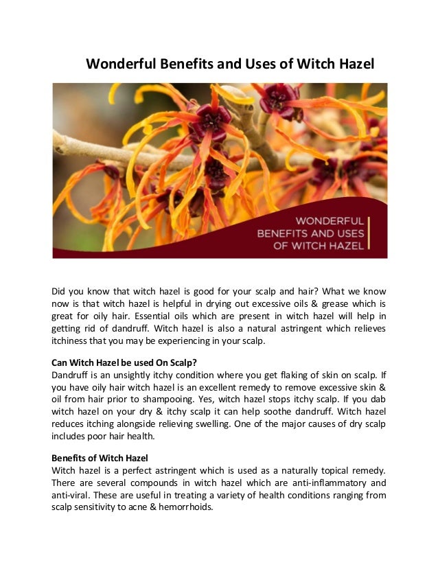 Wonderful Benefits And Uses Of Witch Hazel