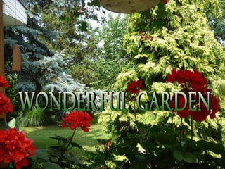 Wonderful garden 
