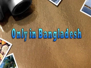 Only in Bangladesh 