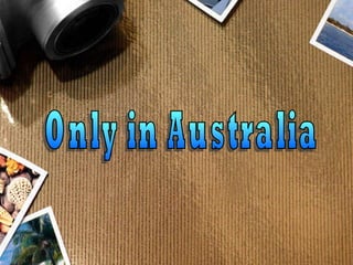 Only in Australia 