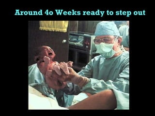 Around 4o Weeks ready to step out 