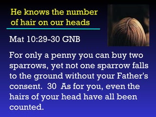 He knows the number  of hair on our heads Mat 10:29-30 GNB  For only a penny you can buy two sparrows, yet not one sparrow falls to the ground without your Father's consent.  30  As for you, even the hairs of your head have all been counted. 