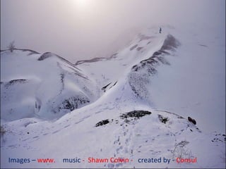 Images –   www.  -  music   -  Shawn Colvin -  created by -  Consul 