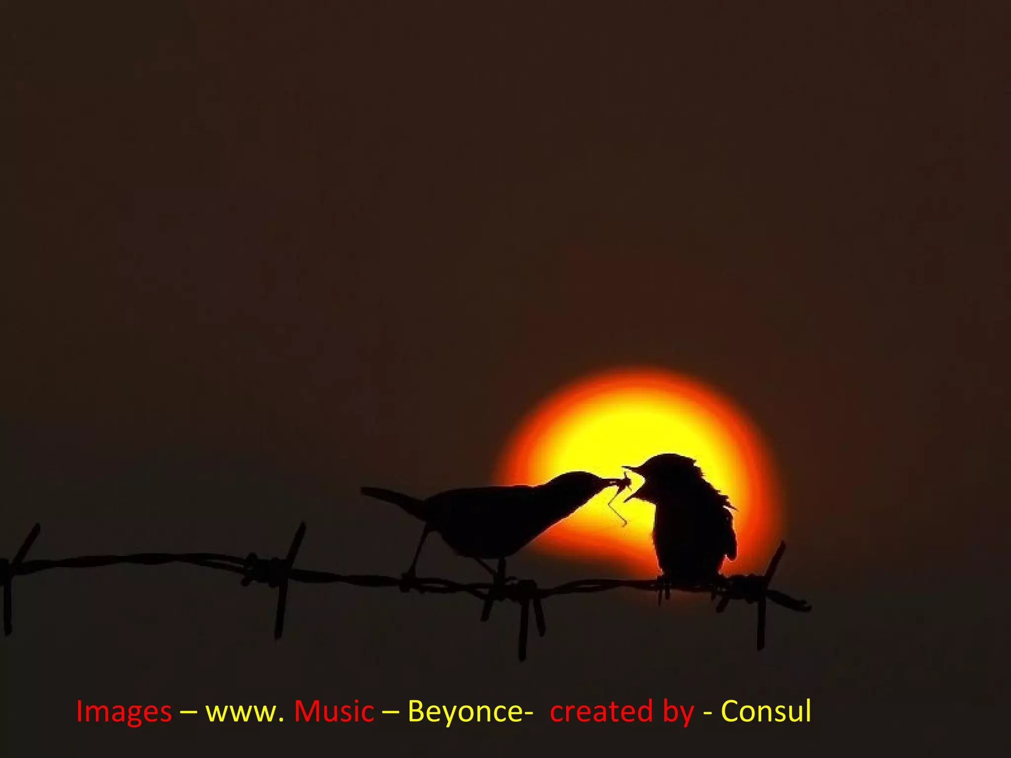 Images – www. Music – Beyonce- created by - Consul