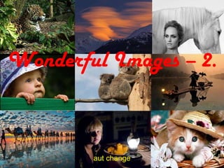 Wonderful Images – 2. aut change 