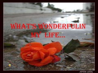 What’s Wonderfulin my  life… 