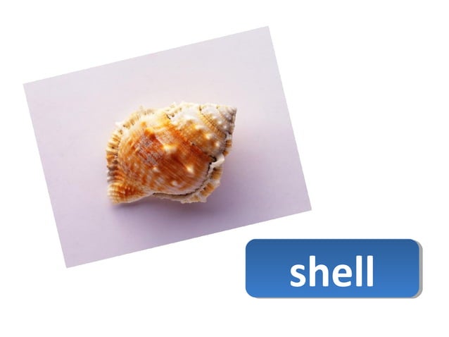 CLIL activity : Wonderful light | PPT