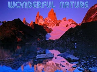 Wonderful Nature