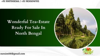 Wonderful Tea-Estate
Ready For Sale In
North Bengal
+91 9007008366 / +91 9830694705
ouraim08@gmail.com
 