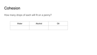 Cohesion
How many drops of each will fit on a penny?
Water Alcohol Oil
 