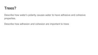 Trees?
Describe how water’s polarity causes water to have adhesive and cohesive
properties.
Describe how adhesion and cohesion are important to trees
 
