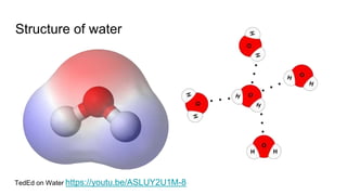 Structure of water
TedEd on Water https://youtu.be/ASLUY2U1M-8
 