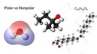 Polar vs Nonpolar C55H98O6
 