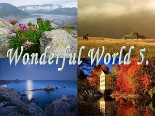 Wonderful World 5. 