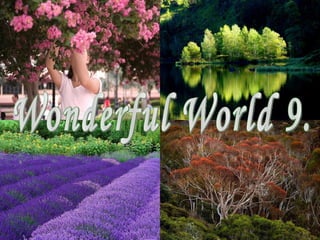 Wonderful World 9. 