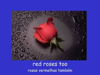 red roses too rosas vermelhas também 