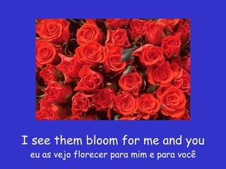 I see them bloom for me and you eu as vejo florecer para mim e para você 