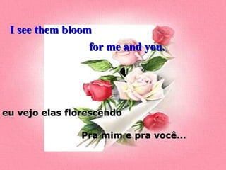 I see them bloom
for me and you.

eu vejo elas florescendo
Pra mim e pra você...

 