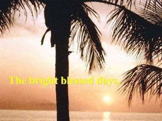 The bright blessed days,
 