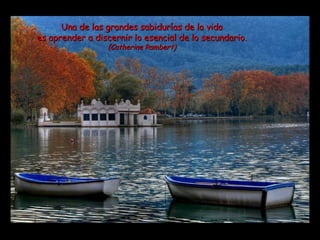 Una de las grandes sabidurías de la vida es aprender a discernir lo esencial de lo secundario. (Catherine Rambert) 